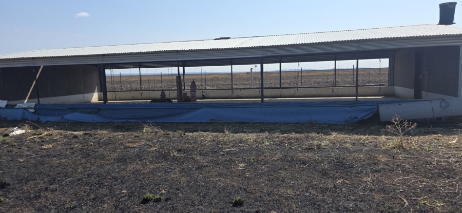 3 Bedroom Property for Sale in Bela Bela Limpopo