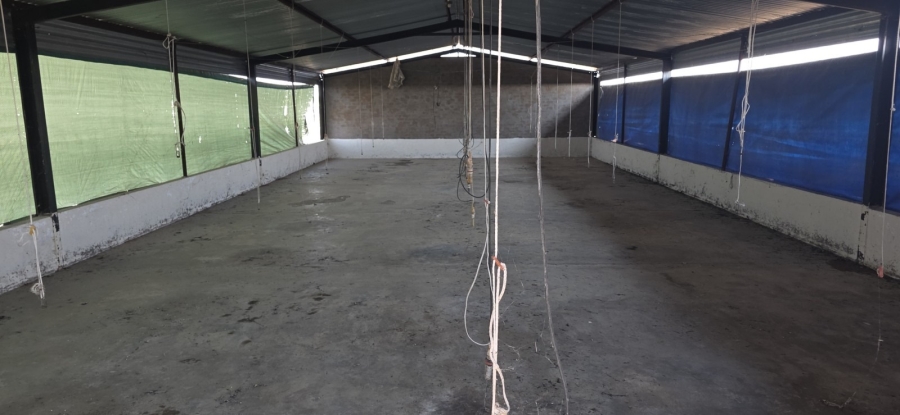 3 Bedroom Property for Sale in Bela Bela Limpopo