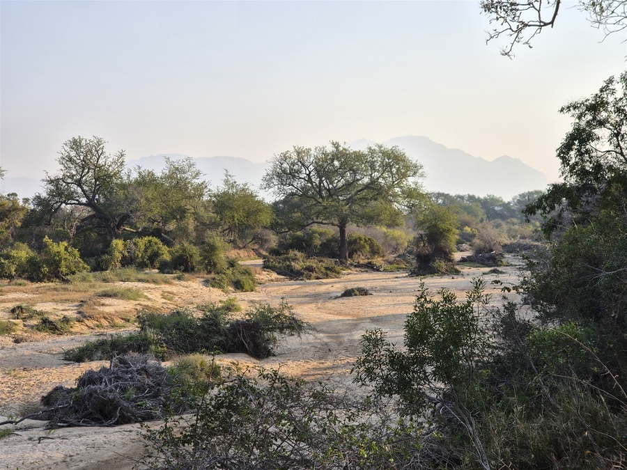 3 Bedroom Property for Sale in Moditlo Wildlife Estate Limpopo