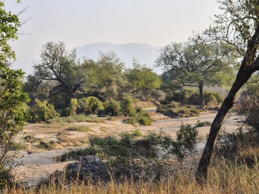 3 Bedroom Property for Sale in Moditlo Wildlife Estate Limpopo