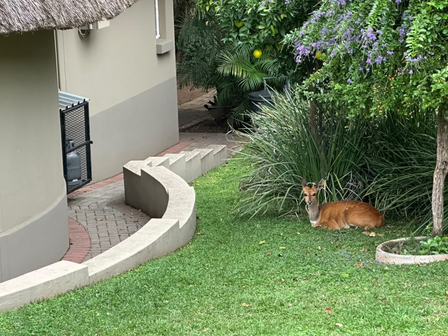 3 Bedroom Property for Sale in Mookgopong Rural Limpopo