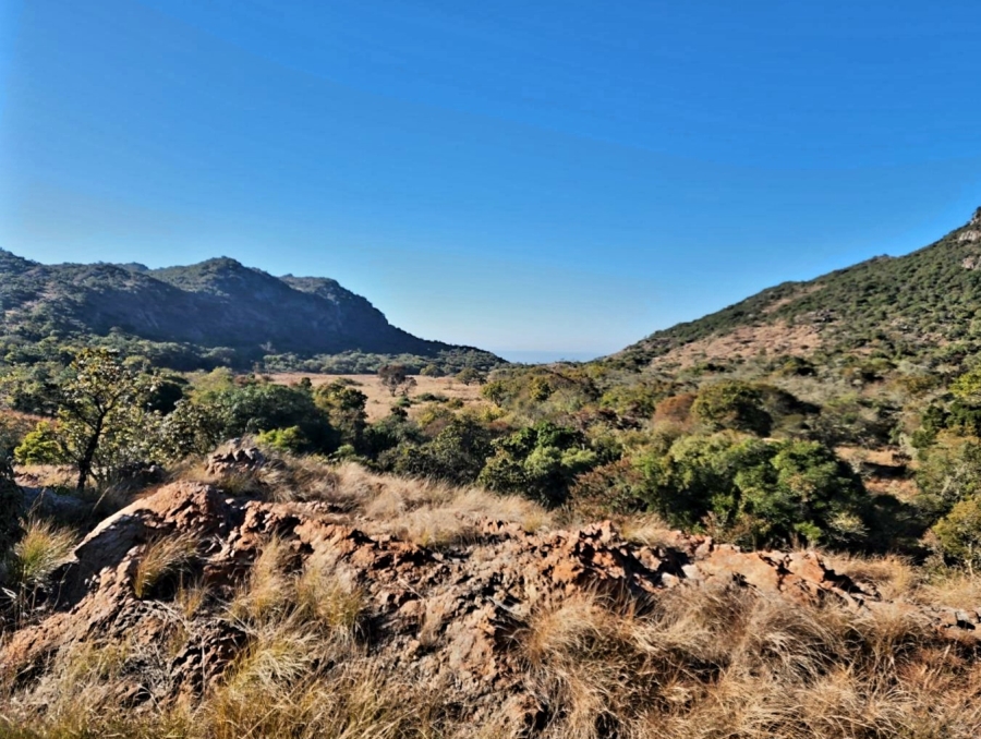 1 Bedroom Property for Sale in Vivo Limpopo