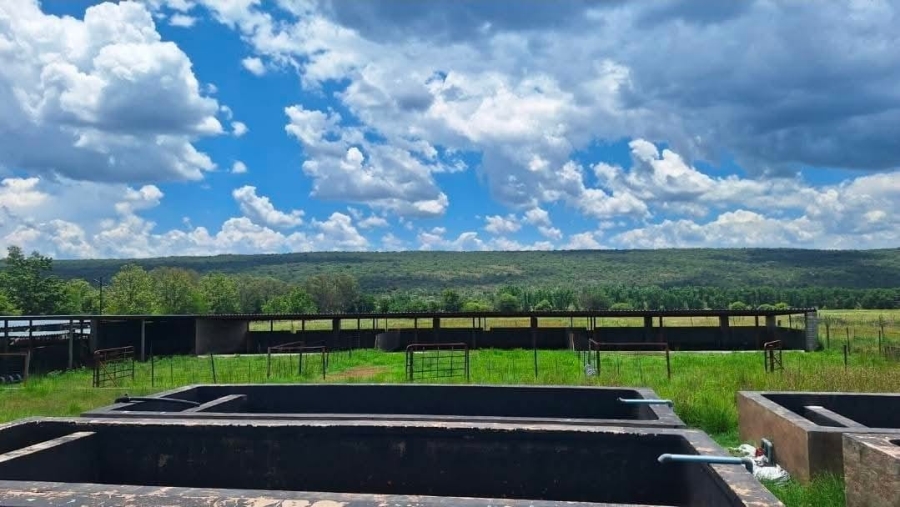 4 Bedroom Property for Sale in Modimolle Rural Limpopo