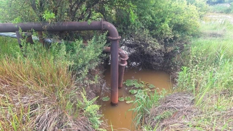 4 Bedroom Property for Sale in Modimolle Rural Limpopo