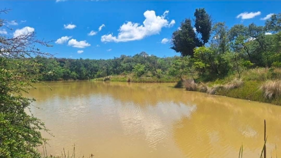 4 Bedroom Property for Sale in Modimolle Rural Limpopo