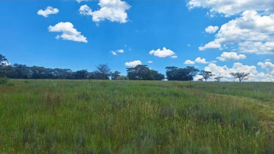4 Bedroom Property for Sale in Modimolle Rural Limpopo