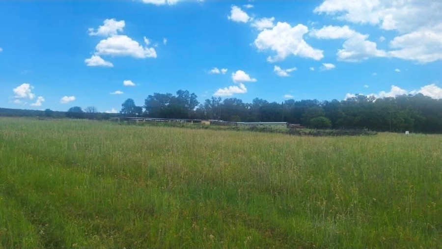 4 Bedroom Property for Sale in Modimolle Rural Limpopo