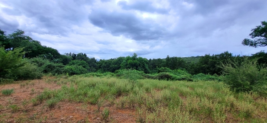 0 Bedroom Property for Sale in Elephant Rock Eco Estate Limpopo