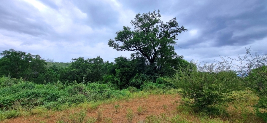 0 Bedroom Property for Sale in Elephant Rock Eco Estate Limpopo
