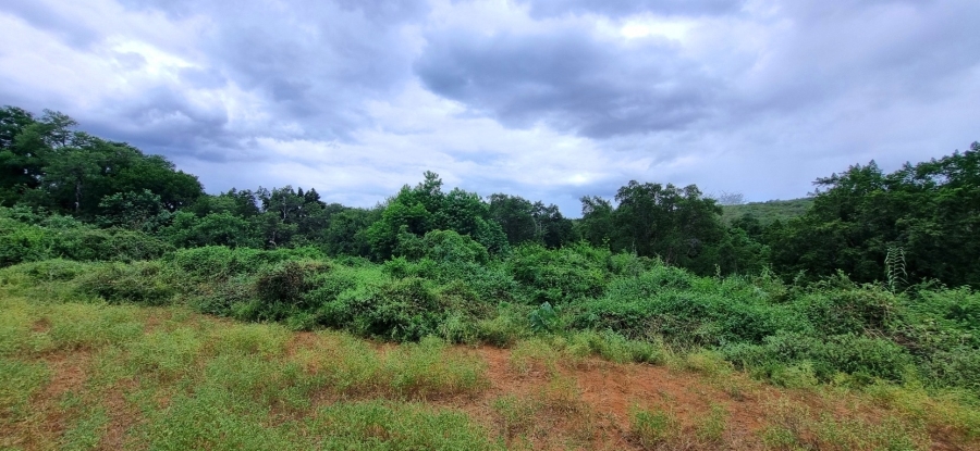 0 Bedroom Property for Sale in Elephant Rock Eco Estate Limpopo