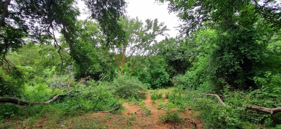 0 Bedroom Property for Sale in Elephant Rock Eco Estate Limpopo