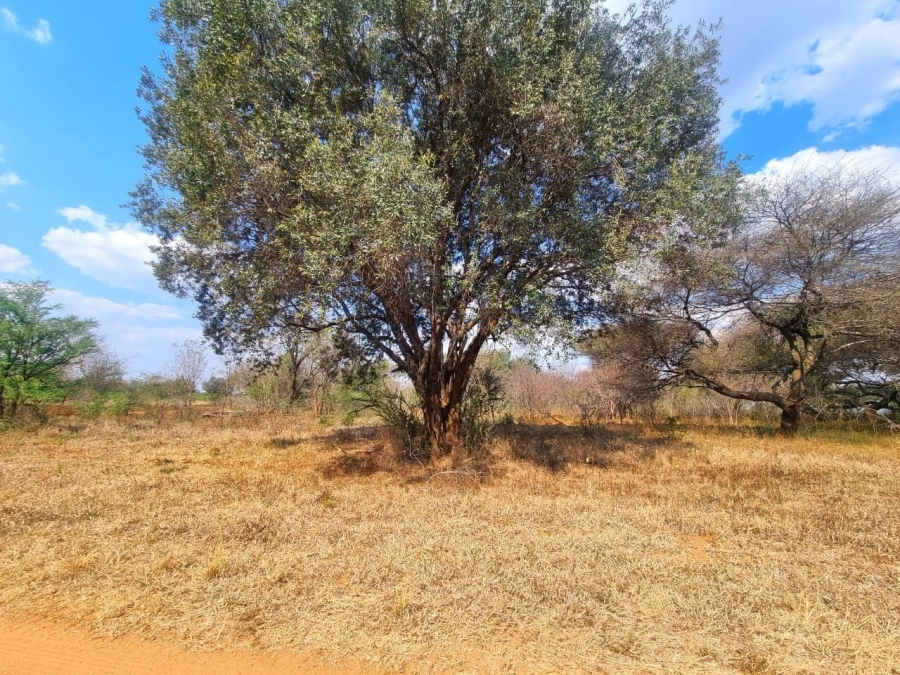 Commercial Property for Sale in Modimolle Limpopo