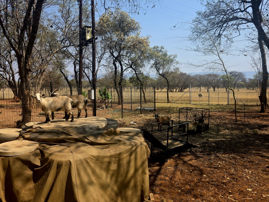 13 Bedroom Property for Sale in Mookgopong Limpopo