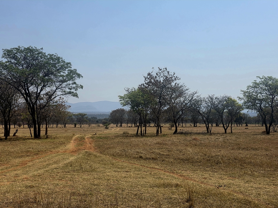 13 Bedroom Property for Sale in Mookgopong Limpopo