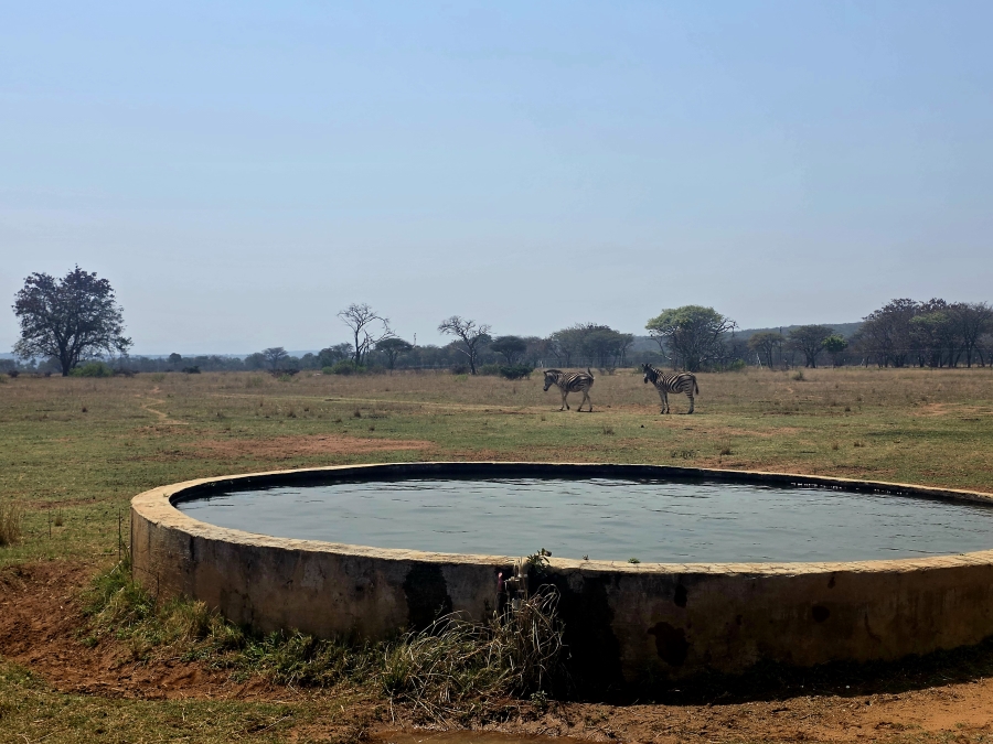 13 Bedroom Property for Sale in Mookgopong Limpopo