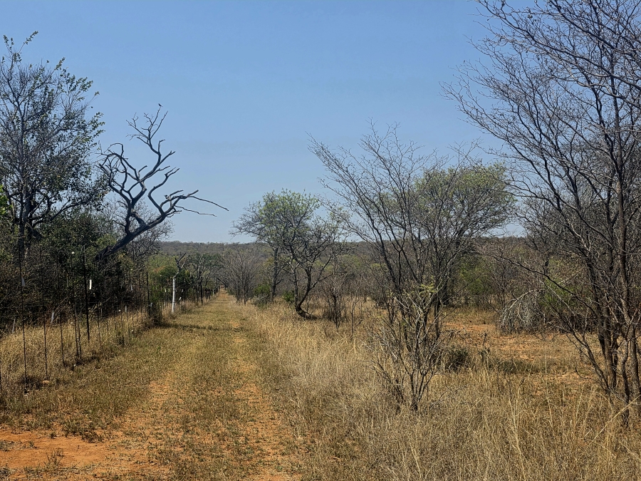13 Bedroom Property for Sale in Mookgopong Limpopo