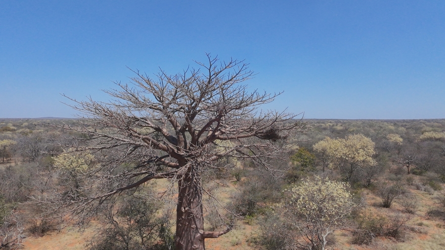 30 Bedroom Property for Sale in Alldays Limpopo