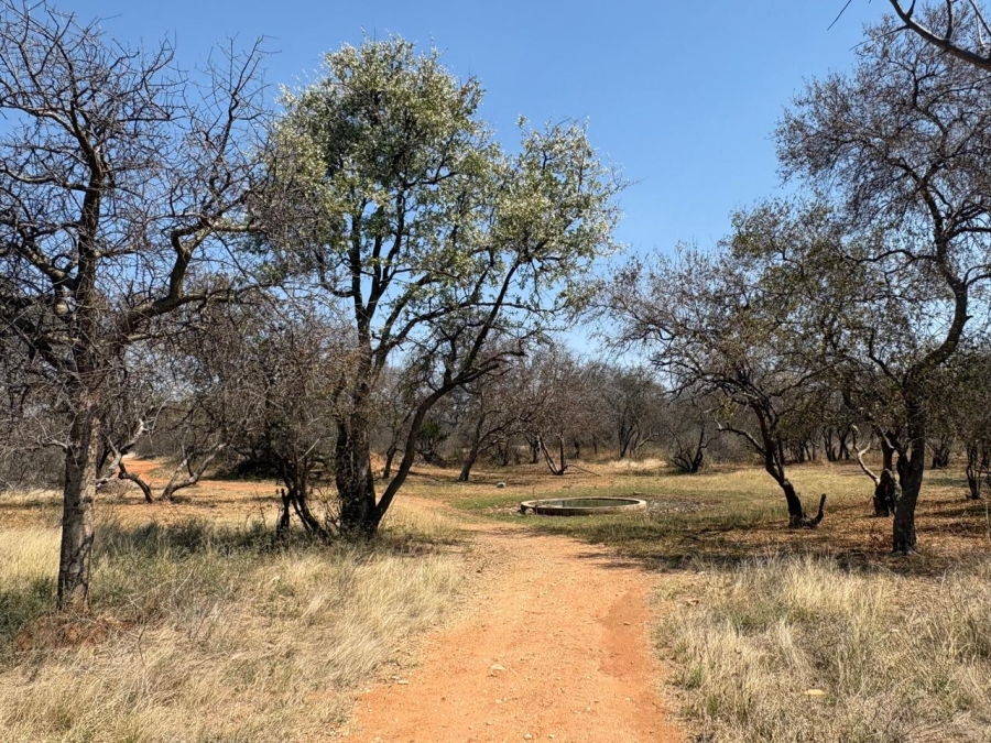 30 Bedroom Property for Sale in Alldays Limpopo