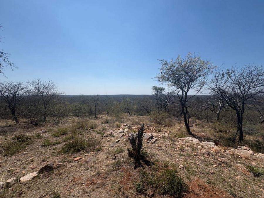 30 Bedroom Property for Sale in Alldays Limpopo
