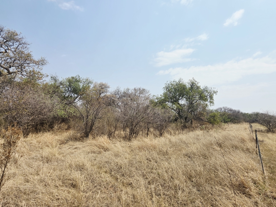 11 Bedroom Property for Sale in Modimolle Limpopo