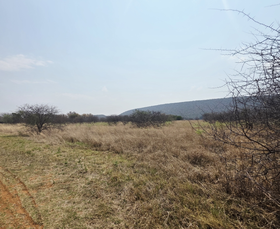 11 Bedroom Property for Sale in Modimolle Limpopo