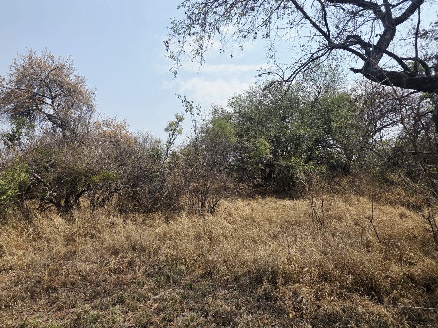 11 Bedroom Property for Sale in Modimolle Limpopo