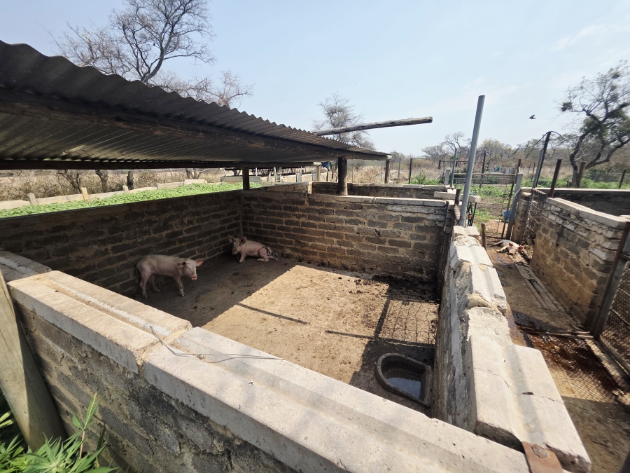 11 Bedroom Property for Sale in Modimolle Limpopo