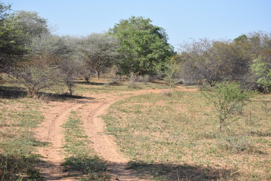 15 Bedroom Property for Sale in Bela Bela Limpopo