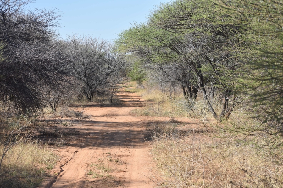 15 Bedroom Property for Sale in Bela Bela Limpopo