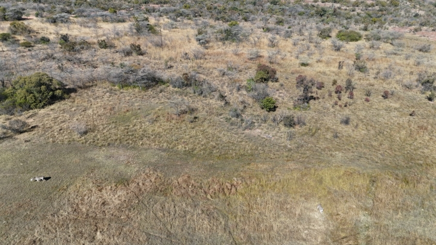 10 Bedroom Property for Sale in Bela Bela Limpopo