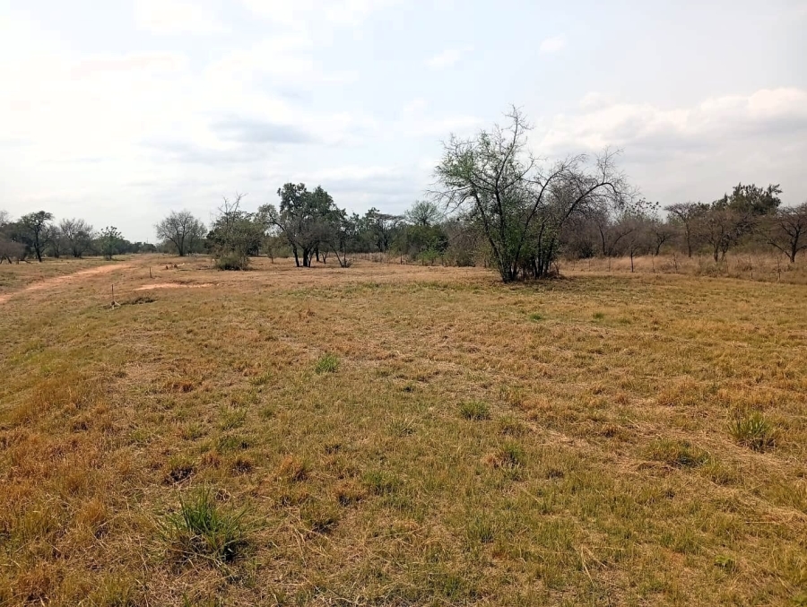 0 Bedroom Property for Sale in Bela Bela Limpopo