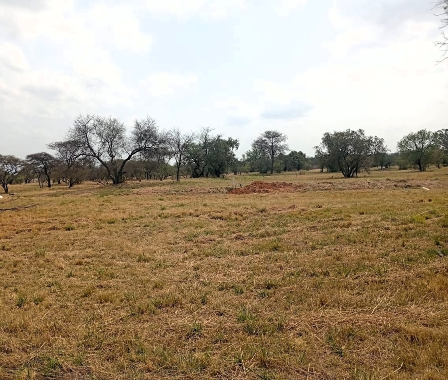 0 Bedroom Property for Sale in Bela Bela Limpopo