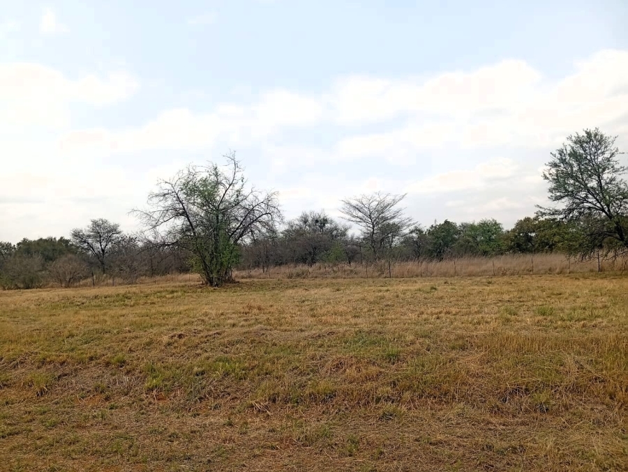 0 Bedroom Property for Sale in Bela Bela Limpopo