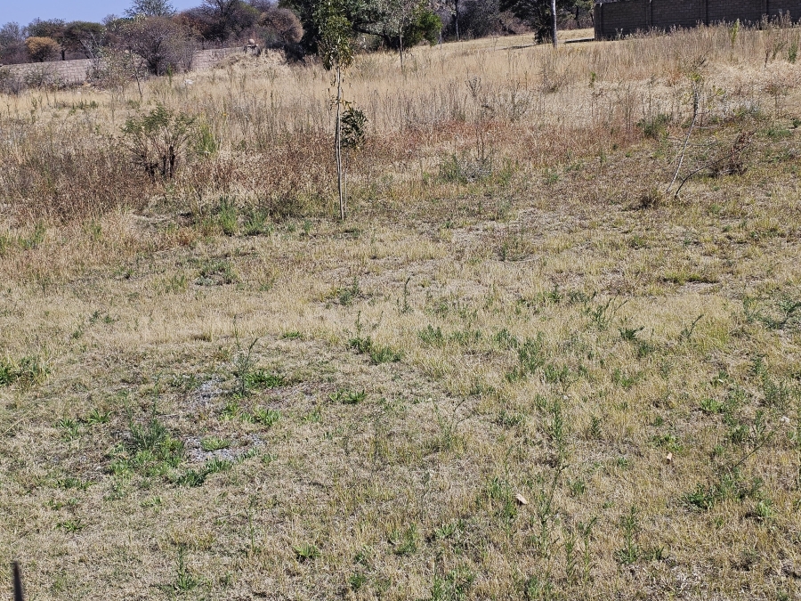 0 Bedroom Property for Sale in Bela Bela Limpopo