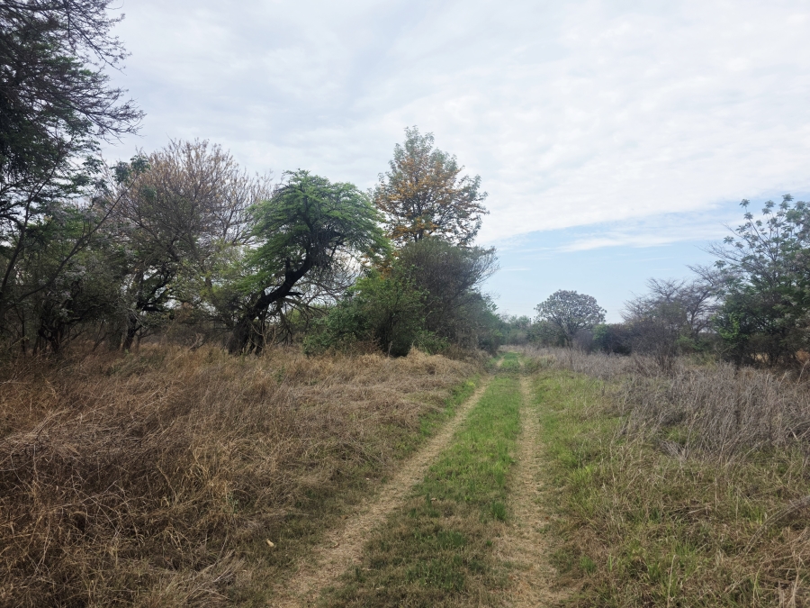 5 Bedroom Property for Sale in Modimolle Limpopo