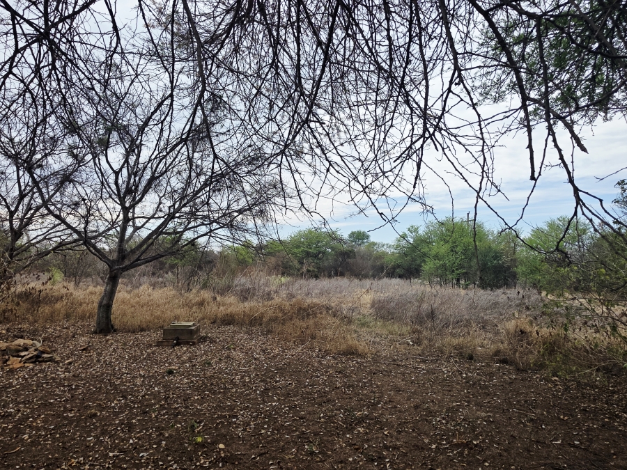 5 Bedroom Property for Sale in Modimolle Limpopo