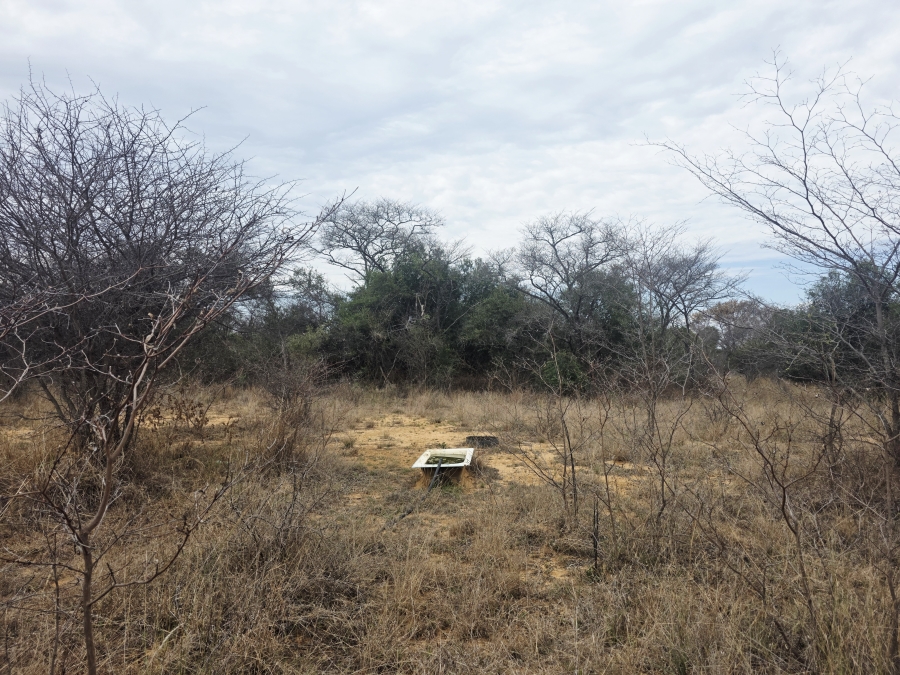 5 Bedroom Property for Sale in Modimolle Limpopo
