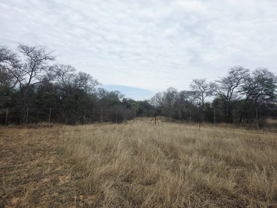 5 Bedroom Property for Sale in Modimolle Limpopo
