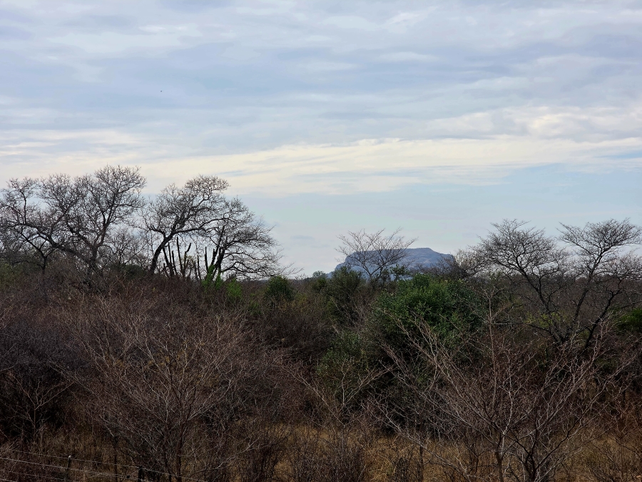 5 Bedroom Property for Sale in Modimolle Limpopo