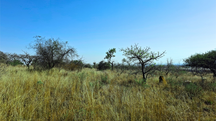 Commercial Property for Sale in Bendor Limpopo