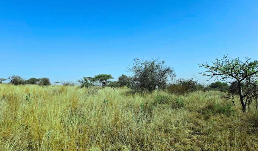 Commercial Property for Sale in Bendor Limpopo
