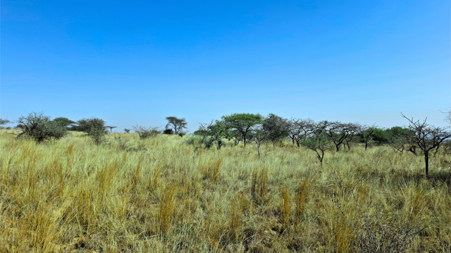 Commercial Property for Sale in Bendor Limpopo
