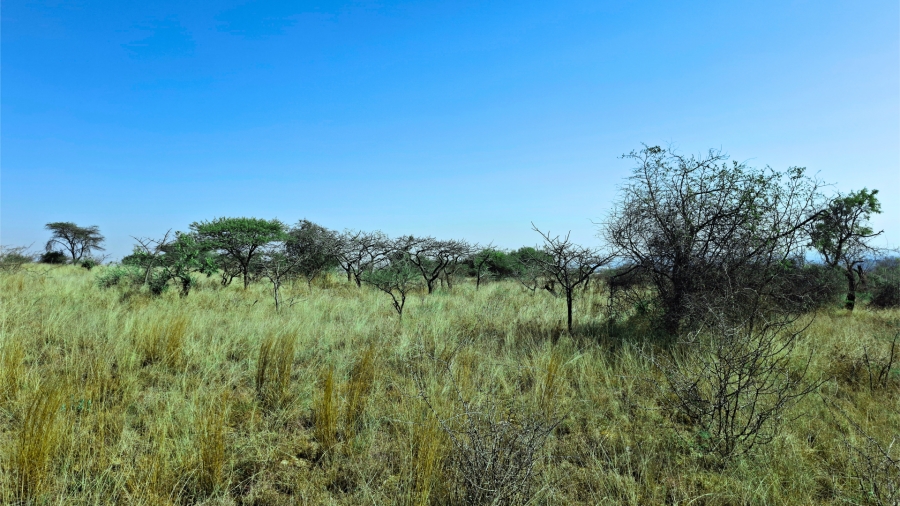 Commercial Property for Sale in Bendor Limpopo