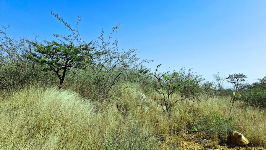 Commercial Property for Sale in Bendor Limpopo