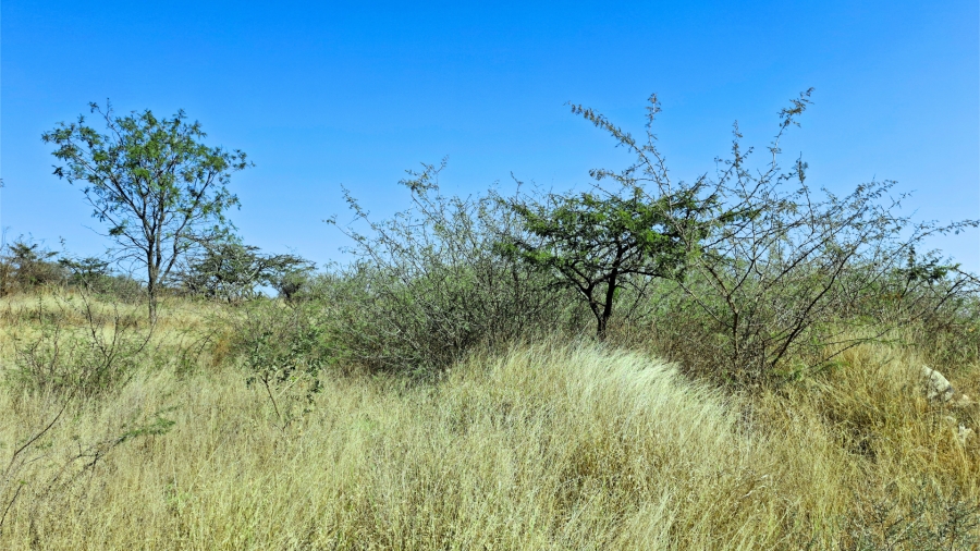 Commercial Property for Sale in Bendor Limpopo
