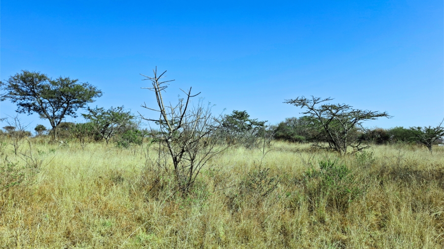 Commercial Property for Sale in Bendor Limpopo