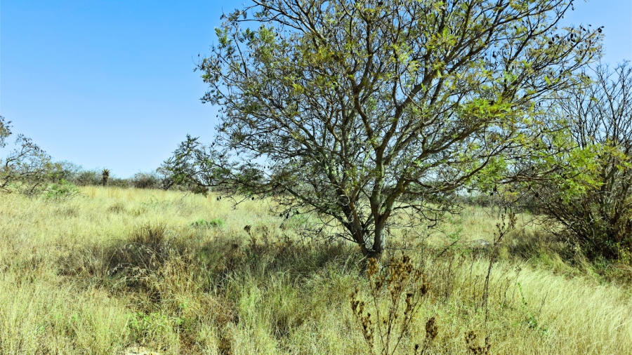 Commercial Property for Sale in Bendor Limpopo
