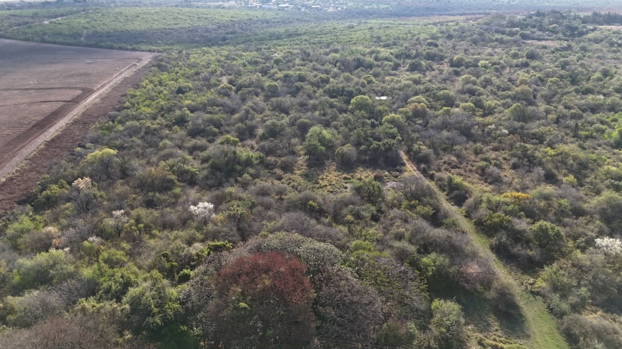 4 Bedroom Property for Sale in Mokopane Rural Limpopo