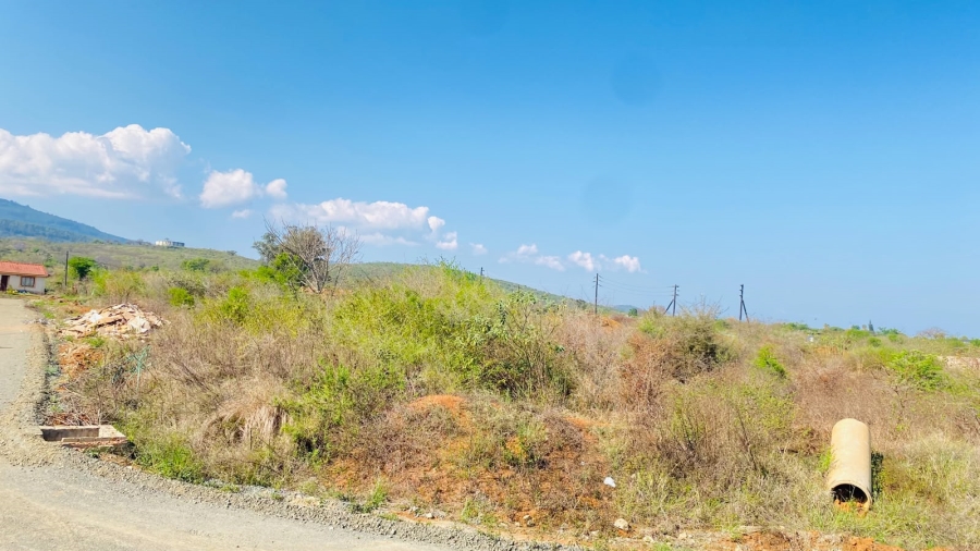 0 Bedroom Property for Sale in Louis Trichardt Limpopo