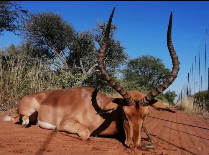 3 Bedroom Property for Sale in Marapong Limpopo